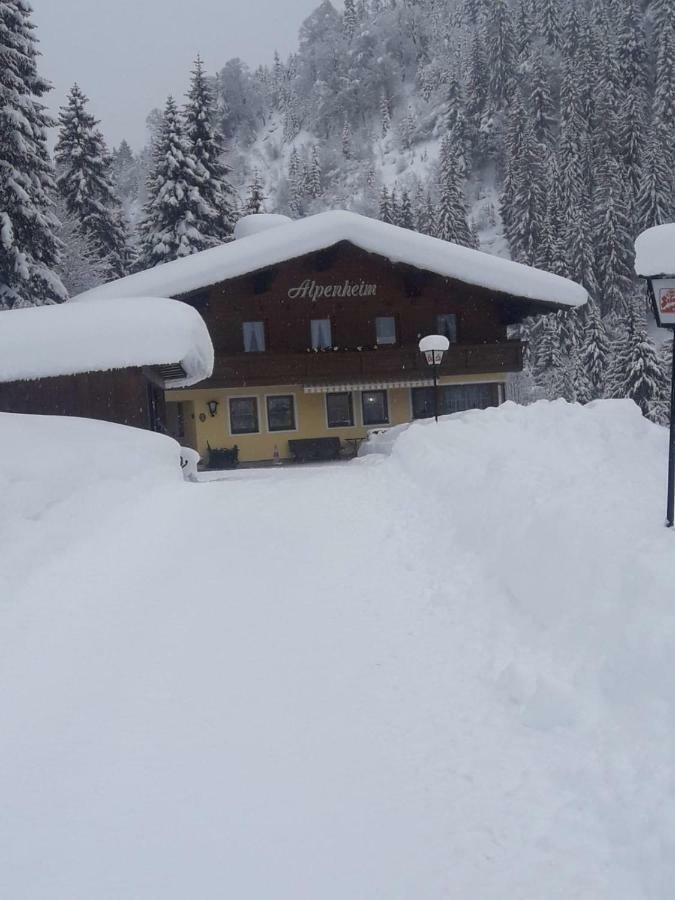 Haus Alpenheim Hotel Flachau Exterior foto