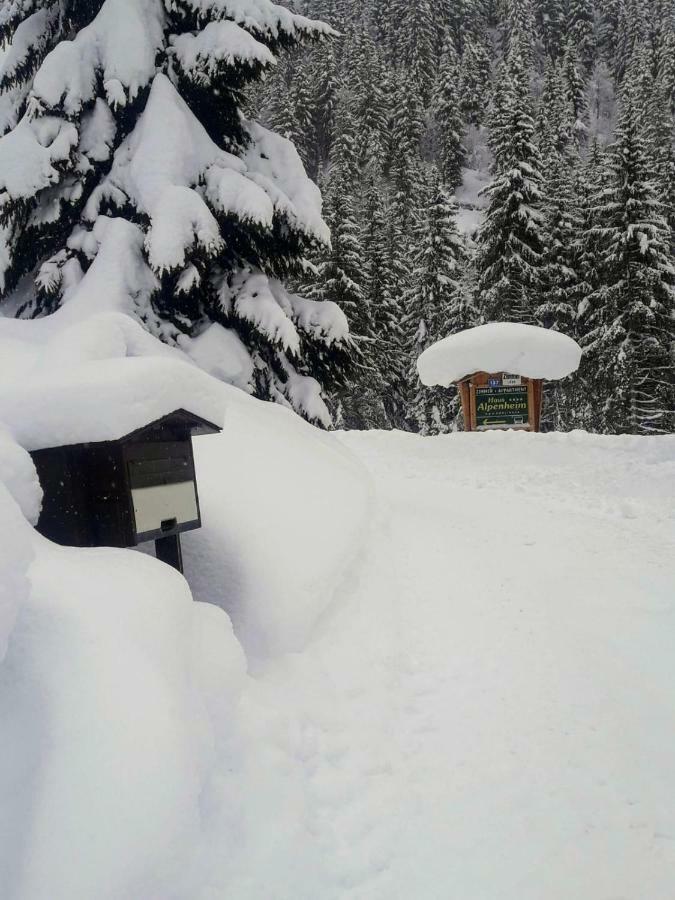 Haus Alpenheim Hotel Flachau Exterior foto